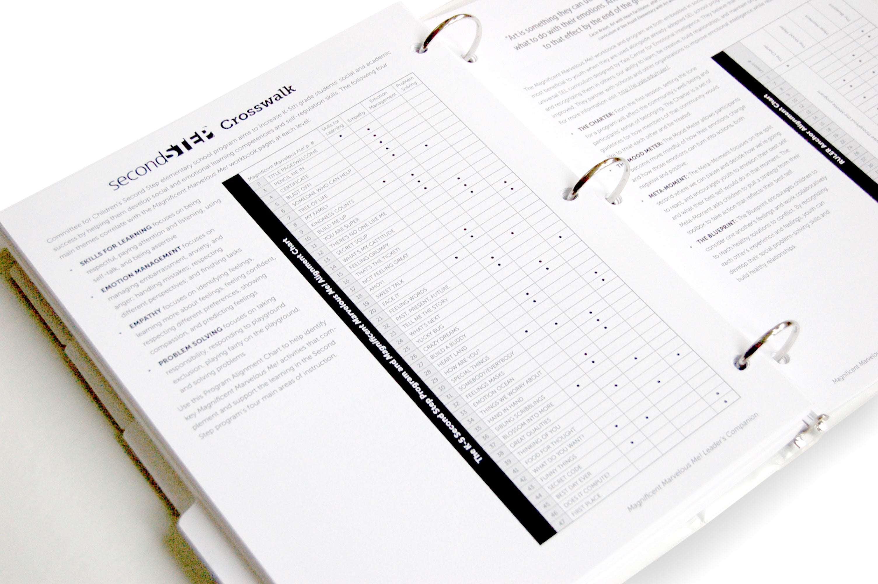 Digital Magnificent Marvelous Me! Leader's Companion